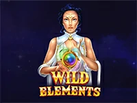 เกมสล็อต Wild Elements